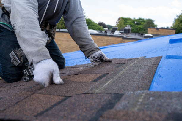 Best Roofing Contractor Near Me  in St Helen, MI