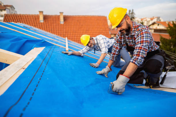Best Gutter Installation and Roofing  in St Helen, MI